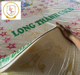 Nệm long thành gold