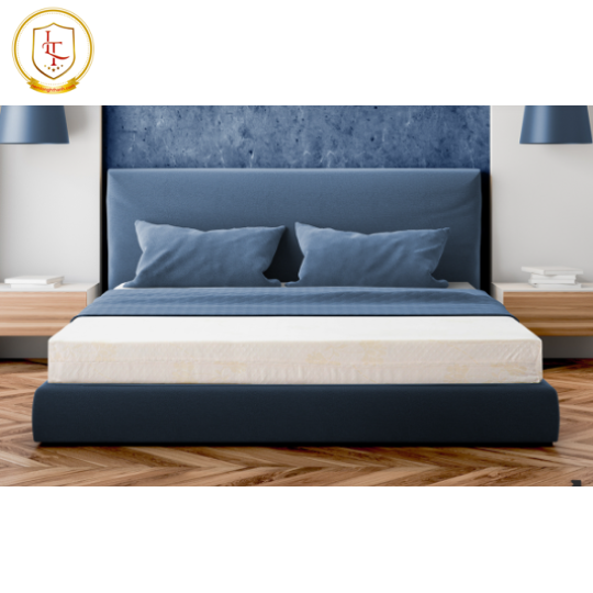 NỆM FOAM ĐẸP CHÍNH HÃNG 